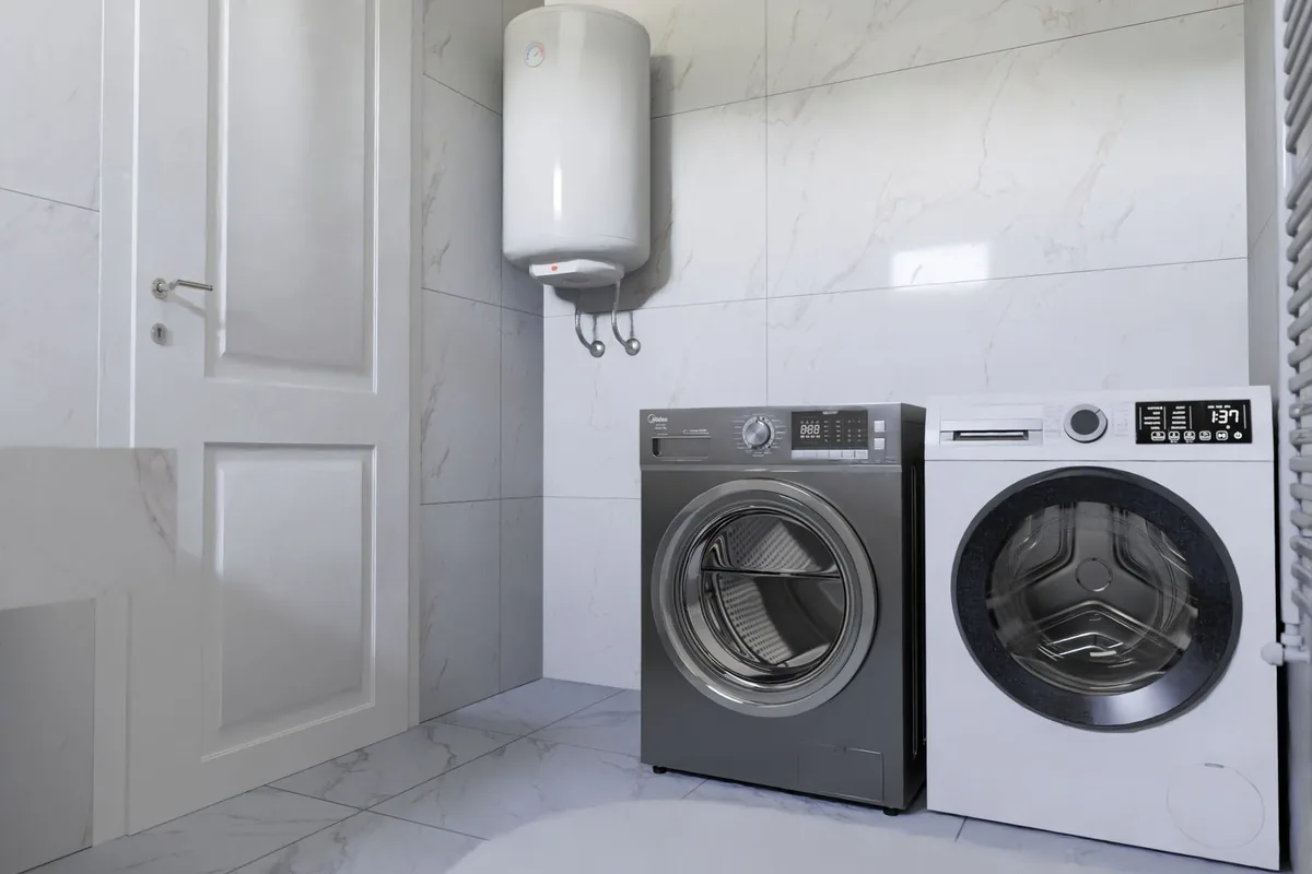 Bird & Bat Guano Cleanup in Blackshear, GA